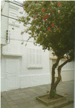 Betina Brizuela (Paraguai)<br /><em>Casa Enyesada</em>,2005<br />Av. Washington Luiz – Porto Alegre